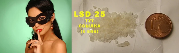 прущая мука Каменногорск