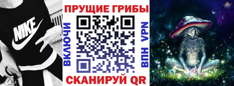 где можно купить   Нестеровская  Галлюциногенные грибы Psilocybe 